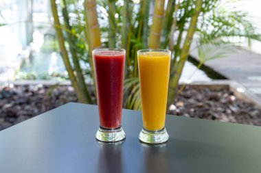 Ağaçların bulanık arka planında, masanın üzerinde iki soğuk meyve püresinin yakın plan çekimi..