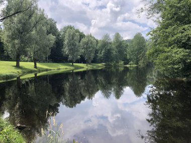 Almanya 'nın Bavyera kentindeki ağaçlarla çevrili küçük bir gölün manzarası.