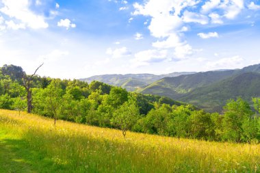 Yoğun yeşil ağaçlar ve çimlerle çevrili, bulutlu bir gökyüzüne karşı dağlarla çevrili, büyüleyici bir orman manzarası.
