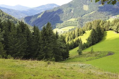 Berrak bir yaz günü dağlık kırsalda, yemyeşil tepeler yemyeşil.