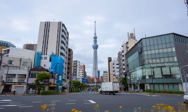 Een Schilderachtig Uitzicht Skyline Van Tokio Gebouw Japan — Stockfoto