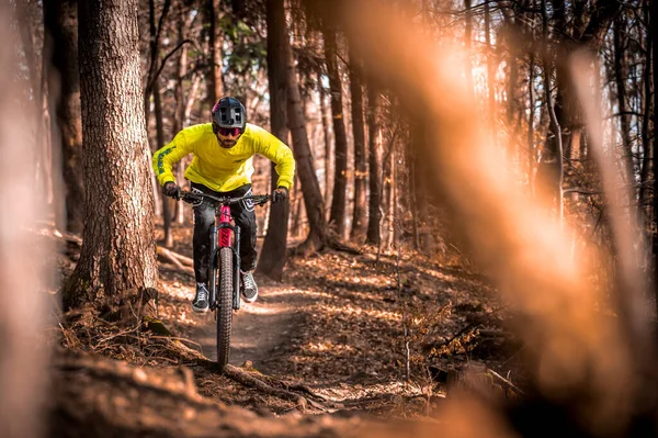 Крупним Планом Людина Їде Велосипеді Лісі — стокове фото