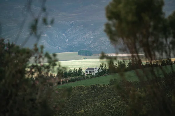 Dům Obklopen Svěží Zelenou Přírodou Kapském Městě Jihoafrická Republika — Stock fotografie