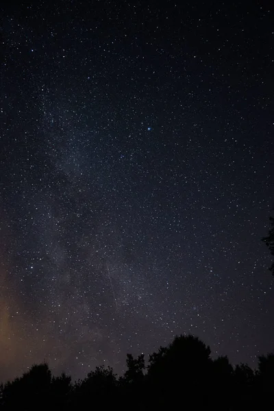 나무로 밤하늘의 — 스톡 사진