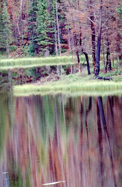 Прекрасный Вид Зеркальное Озеро Лесу Осенними Деревьями — стоковое фото