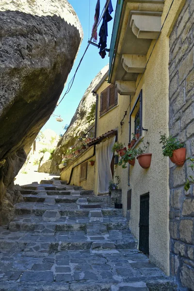Egy Keskeny Virágokkal Díszített Kővel Borított Utcában Lépcsők Felfelé Castelmezzano — Stock Fotó