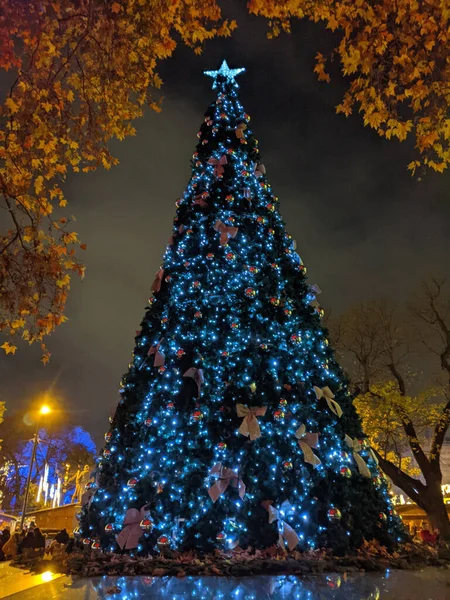 Vertical Shot Big Christmas Tree — Stock Photo, Image