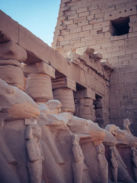 Tiro Vertical Das Colunas Com Esculturas Esculturas Cavalos Templo Karnak — Fotografia de Stock