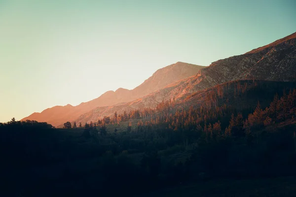 Ett Vackert Landskap Skogsklädda Berg Solljuset — Stockfoto