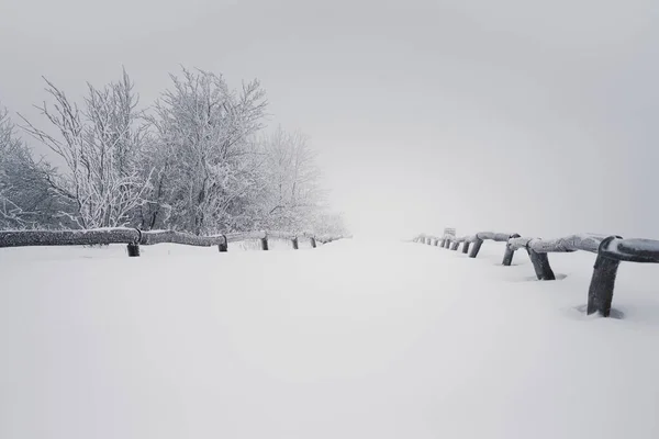 Una Hermosa Vista Del Campo Completamente Cubierto Nieve —  Fotos de Stock