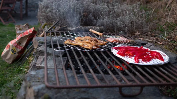 Viande Poivron Rouge Sur Grille Charbon Bois Barbecue Dans Jardin — Photo