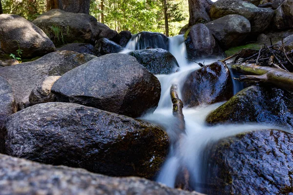 Uma Longa Exposição Riacho Floresta Primavera — Fotografia de Stock