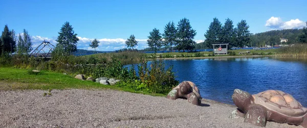 Kırsal Bir Parkta Içinde Kaplumbağa Heykelleri Olan Bir Nehir Gölet — Stok fotoğraf