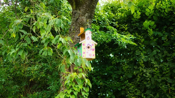 Een Kleurrijk Houten Vogelhuisje Hangend Aan Een Boom — Stockfoto