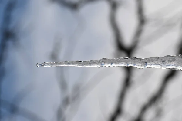 Närbild Istappen — Stockfoto