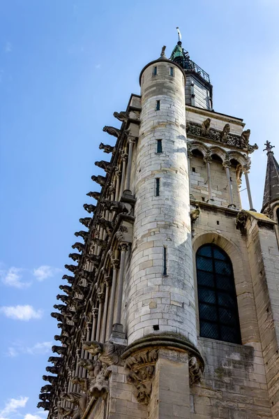 Plan Vertical Angle Bas Église Notre Dame Dijon France — Photo