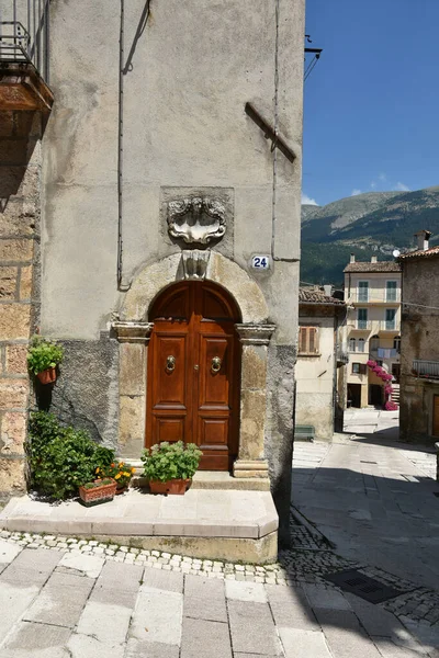 イタリア フロジノーネの村 パトリカのポット植物と古い家の茶色のドアの美しい外観のショット — ストック写真