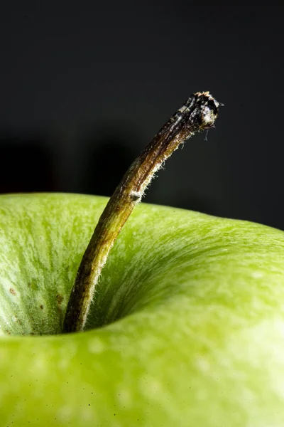 暗い背景に緑のリンゴの茎の垂直マクロショット — ストック写真