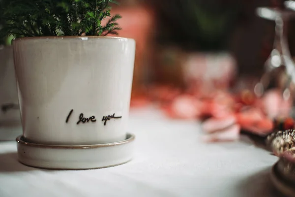 Een Close Shot Van Een Witte Romantische Pot Met Een — Stockfoto