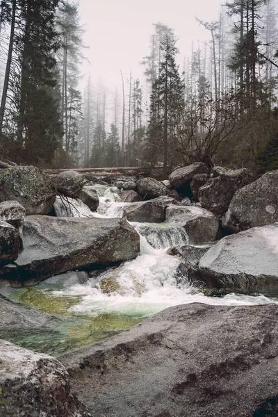 Een Prachtig Uitzicht Een Rivier Die Overdag Stroomt Rotsen Het — Stockfoto