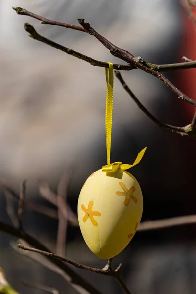 Süslü Bir Paskalya Yumurtasının Ağaç Dalında Asılı Güzel Bir Fotoğrafı — Stok fotoğraf