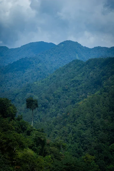 Красивый Вид Горы Лесом Облачным Небом — стоковое фото