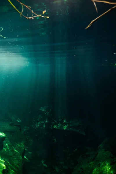 Підводна Сцена Сонячними Променями Світяться Крізь Воду — стокове фото
