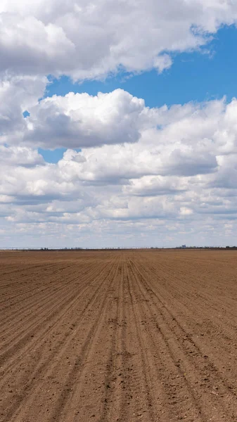 畑の上の青い空の美しい雲の風景の垂直ショット — ストック写真