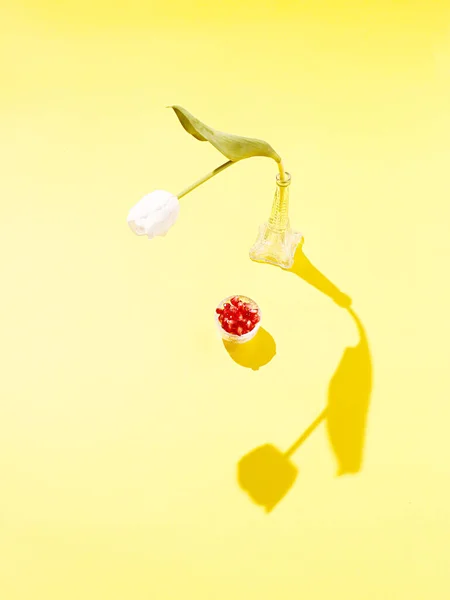 Una Vista Dall Alto Dei Semi Melograno Tulipano Bianco Sfondo — Foto Stock