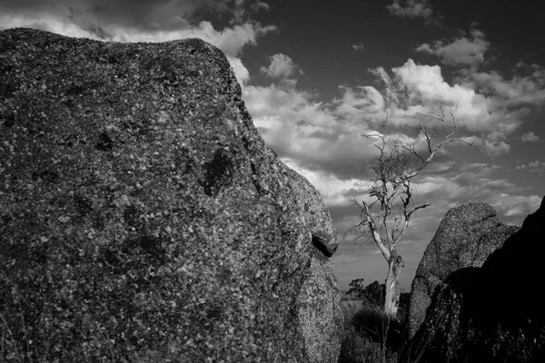 Una Escala Grises Una Enorme Roca Campo Bajo Cielo Nublado — Foto de Stock