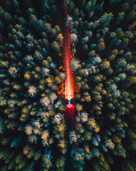 Aerial Top View Car Illuminating Highway Surrounded Green Forest Night — Stock Photo, Image