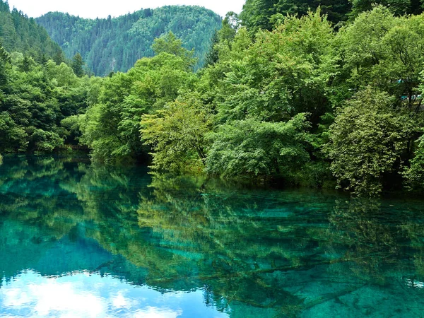 İçinde yeşil ağaçların yansıması ve bulutlu mavi gökyüzünün olduğu sakin göl.