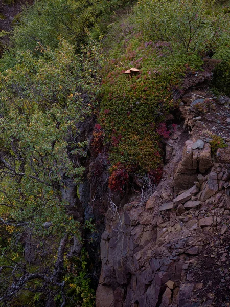 Eine Vertikale Aufnahme Einer Landschaft Mit Felsigen Klippen Und Bäumen — Stockfoto