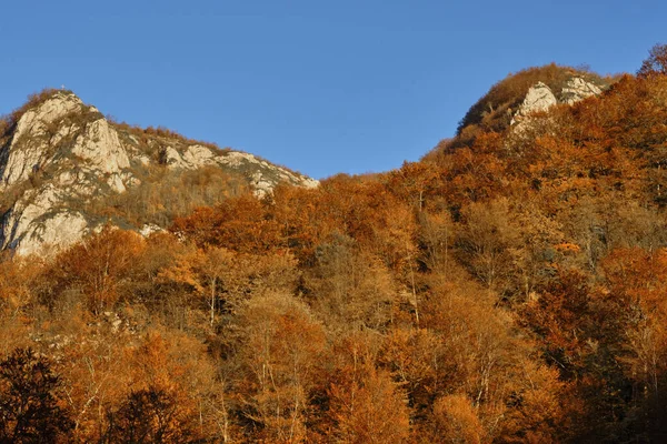 Bellissimo Paesaggio Una Montagna Autunnale Coperta Alberi Colorati Romania — Foto Stock
