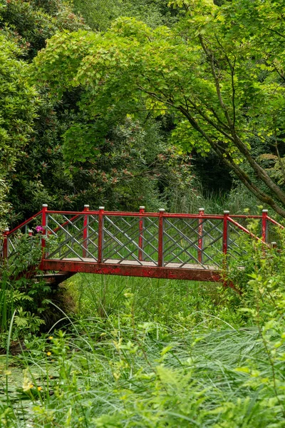 Вертикальный Снимок Небольшого Моста Окруженного Деревьями Зеленью Лесу — стоковое фото
