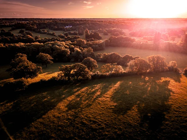 ロンドンの日没時に鬱蒼とした森を持つ田舎の美しい空中風景 — ストック写真