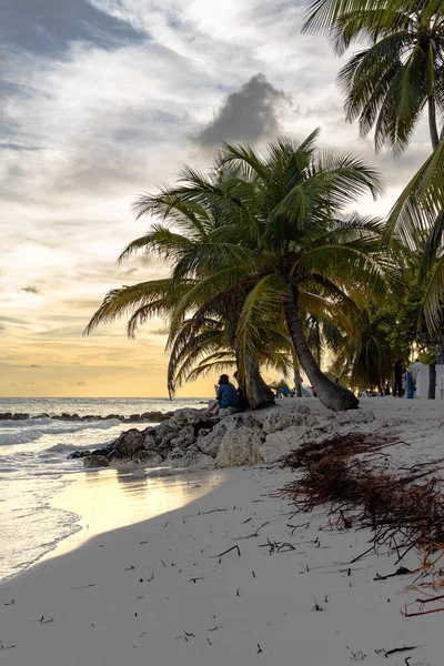 Eine Vertikale Aufnahme Von Palmen Abend Worthing Beach Worthing Barbados — Stockfoto