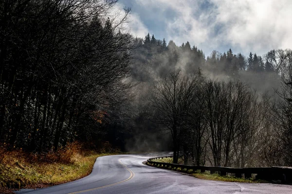 Een Prachtig Landschap Met Een Weg Omringd Door Weelderig Mistig — Stockfoto