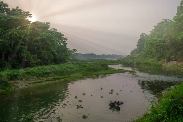 Soleil Couche Sur Rivière Rapti Dans Parc National Chitwan Népal — Photo