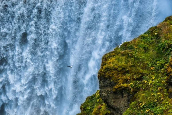 Una Splendida Vista Una Scogliera Una Cascata Sullo Sfondo Islanda — Foto Stock