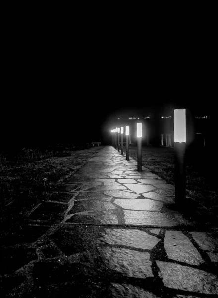 Vertical Grayscale Shot Paved Road Night Lined Street Lights Norway — Stock Photo, Image