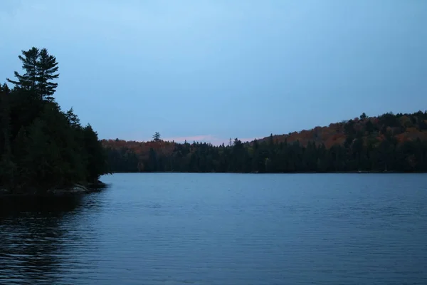 Gros Plan Lac Avec Une Forêt Arrière Plan — Photo