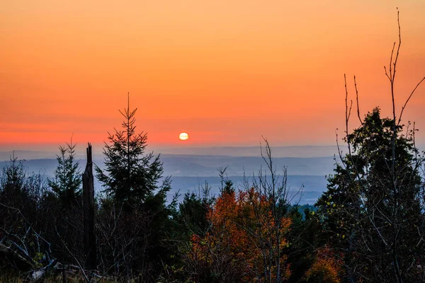 A beautiful orange sunset forested sea horse in Hessen, Germany