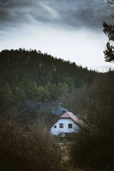 Ένα Εξοχικό Σπίτι Ένα Δάσος Που Περιβάλλεται Από Δέντρα — Φωτογραφία Αρχείου