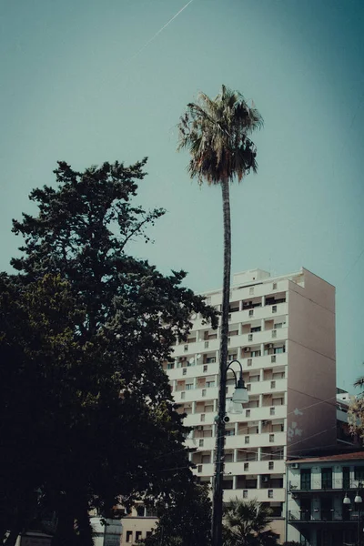 Tiro Vertical Das Árvores Contra Edifício Sob Céu Azul Itália — Fotografia de Stock