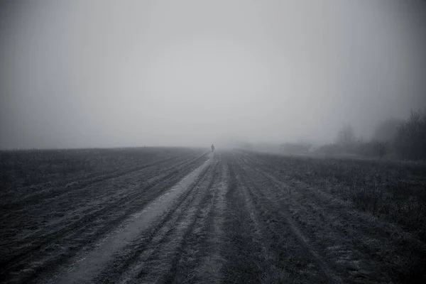 在一片雾蒙蒙的可怕的田野上 一张乡村道路的灰度照片 — 图库照片