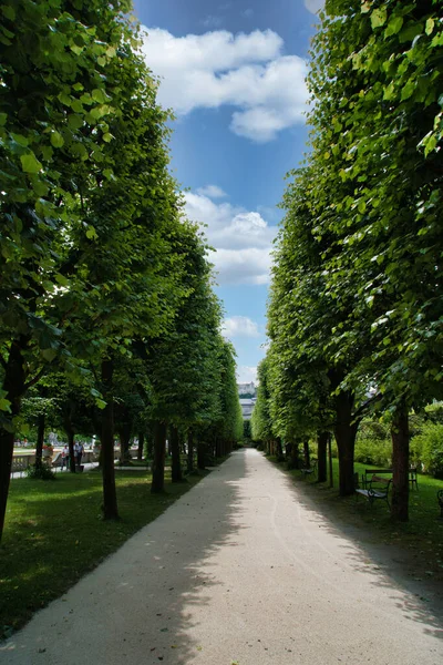 Vue Verticale Une Ruelle Dans Parc Ville Entourée Grands Arbres — Photo