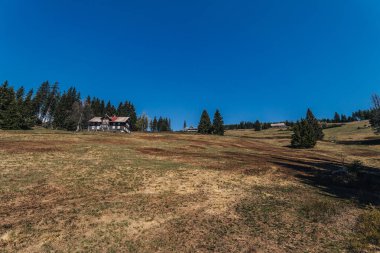 Krkonose Ulusal Parkı 'nın geleneksel dağ kulübeleri, Çek Cumhuriyeti. Yüksek dağ çayırı ve dev dağların geleneksel ahşap evleri, Bohemya.