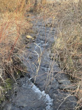 Güney Elgin Illinois 'deki Fox River Yolu..