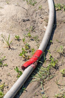 Eski, uzun bahçe hortumunun bulanık arka planda dikey görüntüsü.